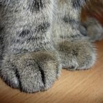 10 kreative Möglichkeiten, Fotos zu drucken