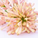 10 Tipps für die perfekte Produktfotografie