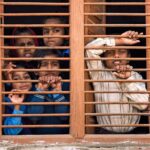 10 Zimmerpflanzen, die die Luft in deinem Zuhause verbessern