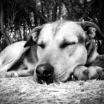 7 Gründe, warum ein Mittagsschlaf gesund ist