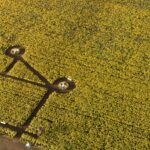 7 Tipps für faszinierende Luftaufnahmen deines Gartens