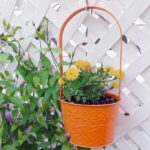 8 kreative Ideen für DIY-Gartenwege