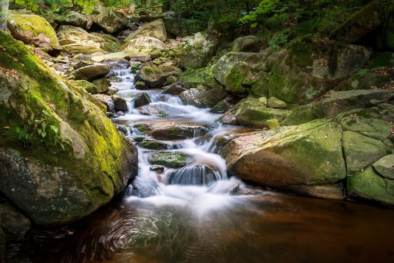 Die 10 beeindruckendsten Wasserfälle, die man gesehen haben muss