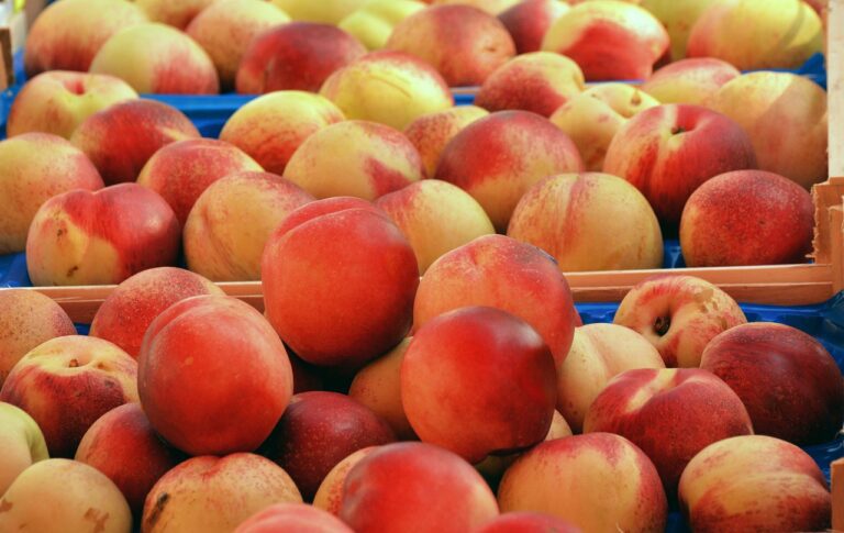 Die besten Aktien für langfristiges Wachstum