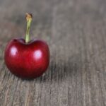 Die besten Apps zur Fotoorganisation