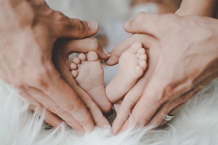 Die besten Kameras für Familienfotografie