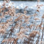 Die coolsten Technikgadgets für die Poolparty im Garten