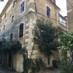 Die ultimative Anleitung zum Bau eines DIY-Gewächshauses