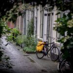 Die Zukunft von KI in der Fotografie: Intelligente Bilderkennung