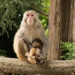 Familienfotografie: Die wichtigsten Basics