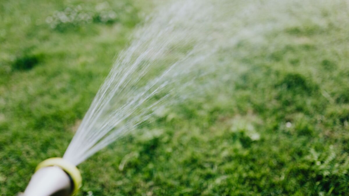 Garten bewässern im Sommer: So sparst du Wasser und Geld