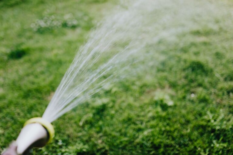 Garten bewässern im Sommer: So sparst du Wasser und Geld