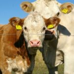 So gelingen emotionale Familienvideos