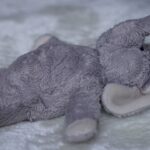 Tipps für gelungene Familienausflüge