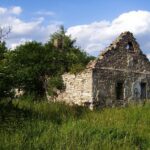 Wie man mit Zeitraffer-Videos den Wandel im Garten festhält